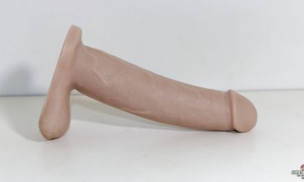 Vixen Bandit Dildo Review