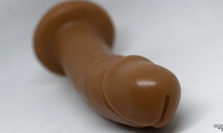 Vixen Maverick Dildo Review