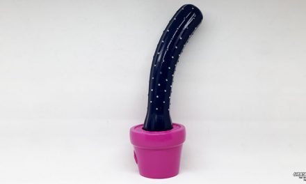Cactus Cactoo Dildo Review from SelfDelve