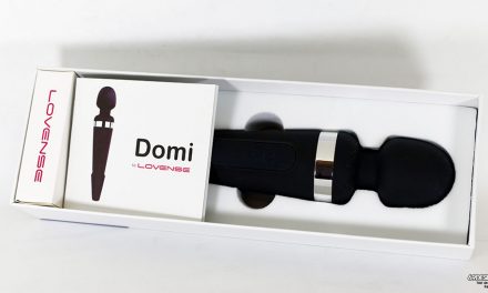 Lovense Domi Review