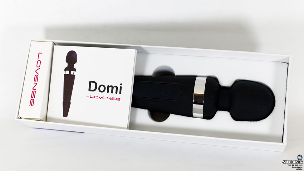 Lovense Domi Review