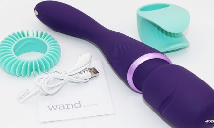 We-Vibe Wand Review