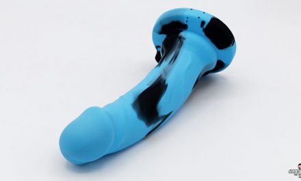 Lifelike Lover Silicone Dildo Review