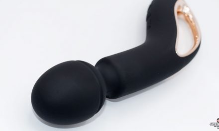 O-Wand Massager Review