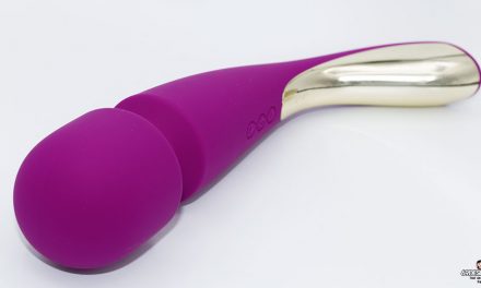 Lelo Smart Wand 2 Large Review