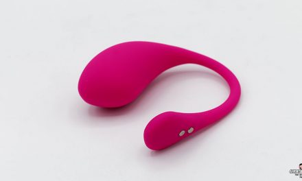 Lush 3 Bluetooth Remote Control Vibrator Review