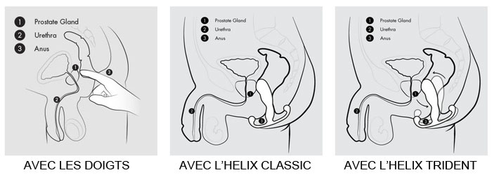 helix trident - schema