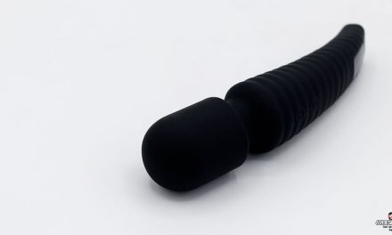 Lovehoney Dream Wand Vibrator Review – Wireless version