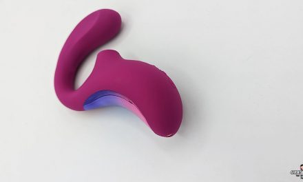 Enigma Cruise Review – New Lelo Double Stimulation