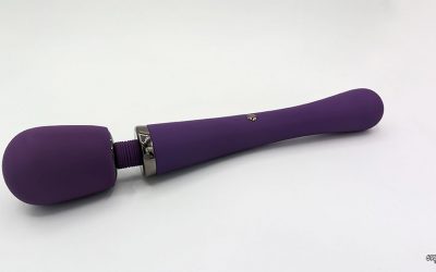 Lovehoney Desire Rechargeable Wand Vibrator Review